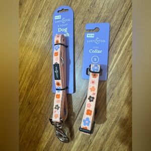 Lucy & Co Lets Groove Dog Flower Collar (small) And Dog Leash (5ft) New!